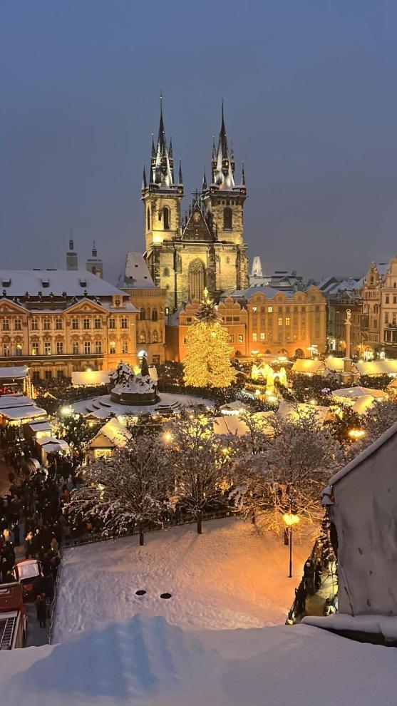 Lejlighed U Zeleneho Jalovce Prag